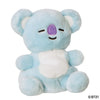 BT21 Palm Pal