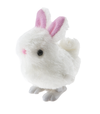 Wind Up Bunny Toy