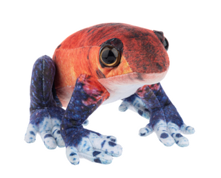 Tropical Frog Plush