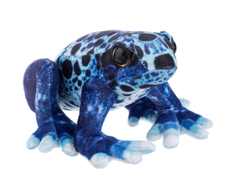 Tropical Frog Plush