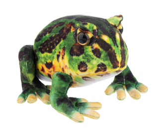 Tropical Frog Plush