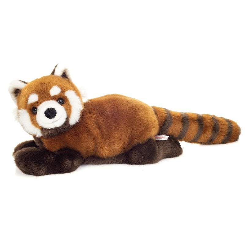 Red Panda | Teddy Hermann