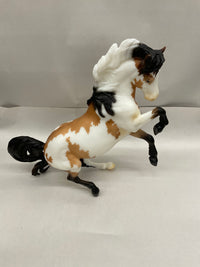 2025 Breyerfest Special Run | Get This Party Started - (LIGHTER BROWN POINTS) -#1