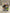 Funko POP! | Pre-Owned| Marvel Silk | Funko 2022 Summer Convention Exclusive