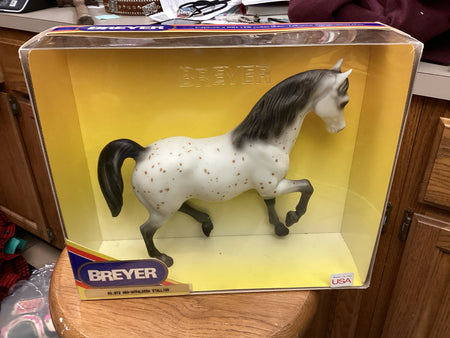 Pre-Owned ARA | Appaloosa Stallion