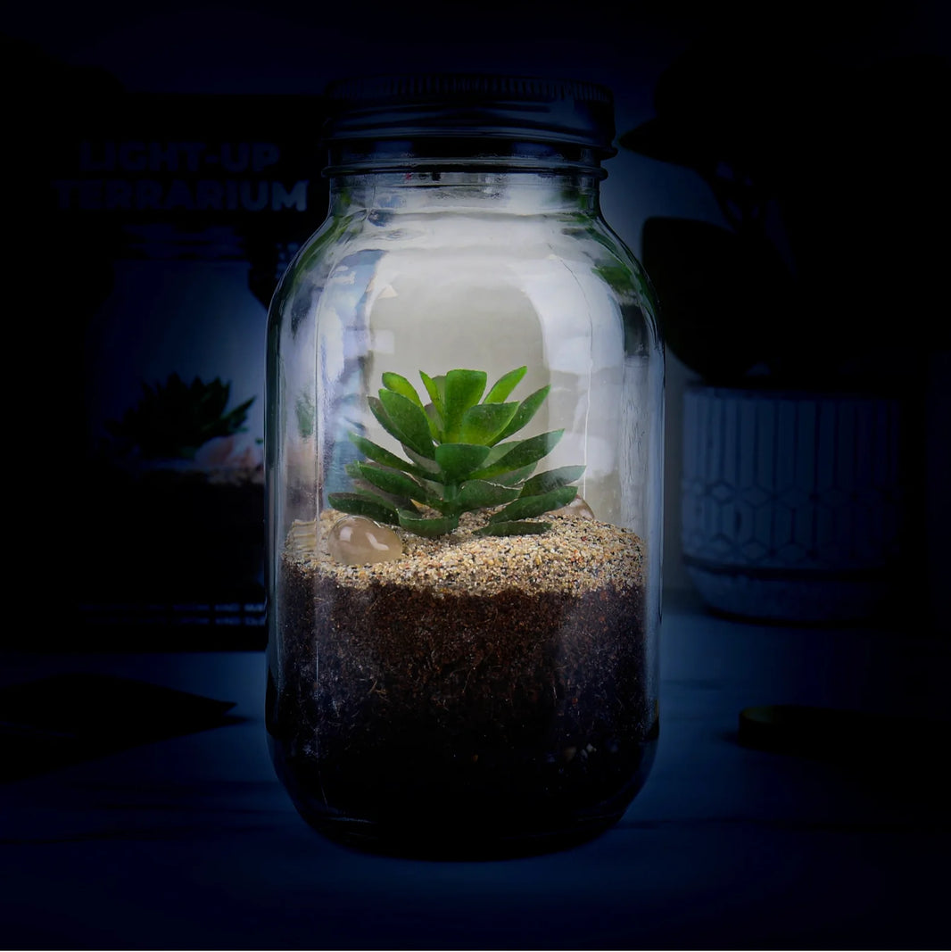 Solar Powered Light Up Terrarium