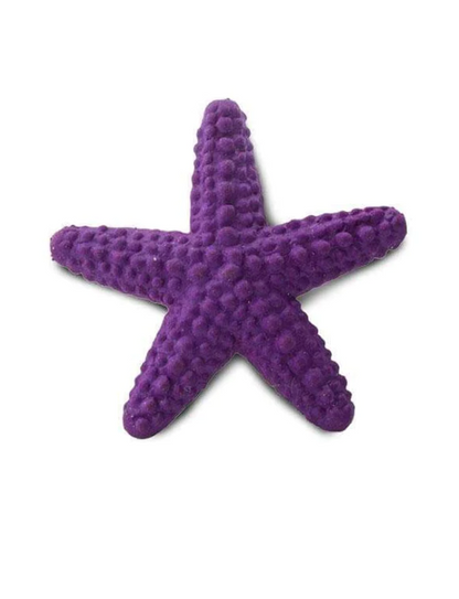 Good Luck Mini | Starfish
