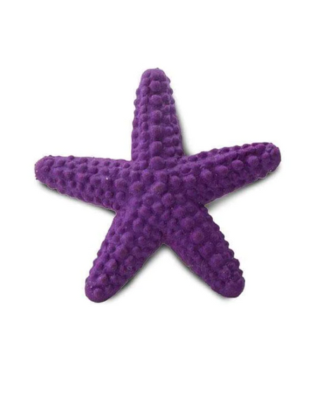 Good Luck Mini | Starfish