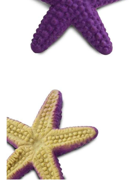 Good Luck Mini | Starfish