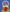 Joy of the Season | 2025 Breyer Musical Snow Globe