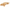 Boogie Bearded Dragon Soft Plush | 4695