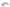 Rabbit Pizza Cutter | Stainless/Brass | 8.5
