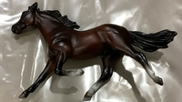 Pre-Owned Stablemate | Bay Standardbred
