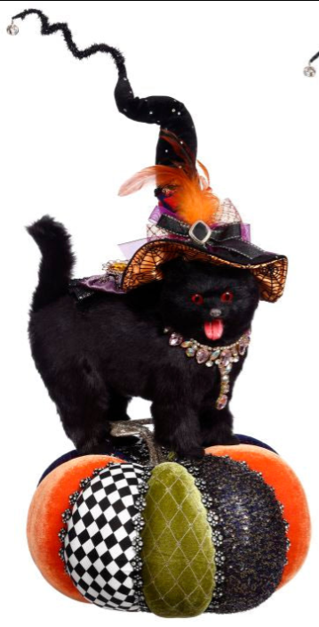 Cat on Pumpkin | Mark Roberts