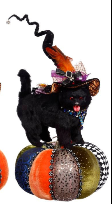 Cat on Pumpkin | Mark Roberts