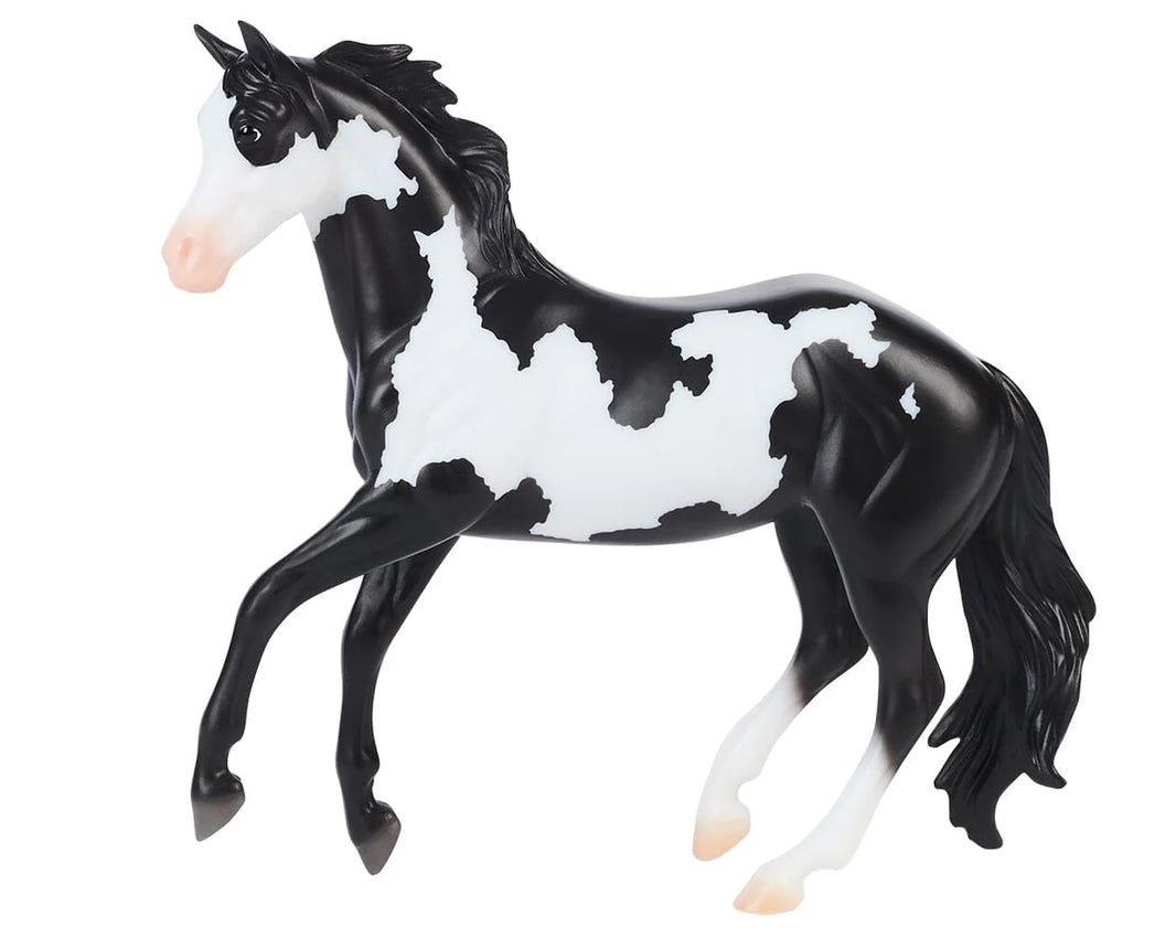 Black Frame Overo Stock Horse |  B-FS-10607