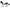 Black & White Piebald Gypsy Mare | CollecA | 88779