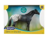 Blue Roan Appaloosa |  B-FS-10608