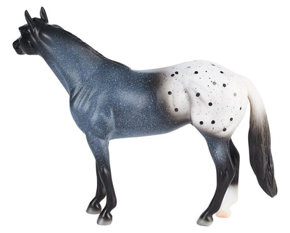 Blue Roan Appaloosa |  B-FS-10608