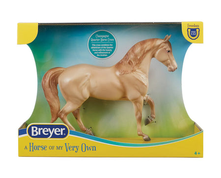 Champagne Quarter Horse Cross |  B-FS-10611
