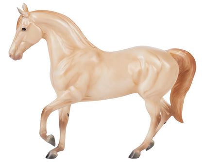 Champagne Quarter Horse Cross |  B-FS-10611