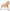 Haflinger Stallion | 80038