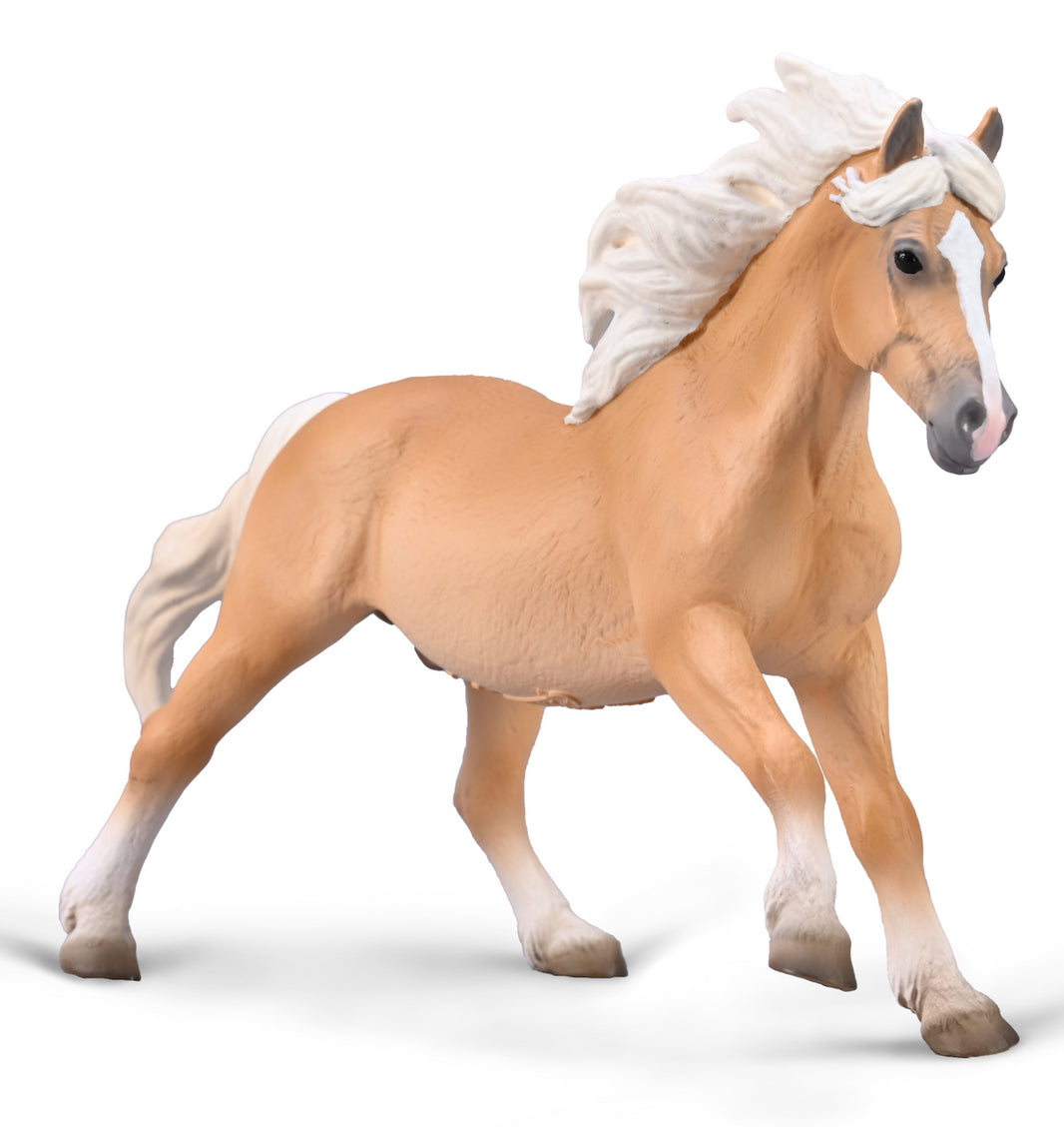 Haflinger Stallion | 80038