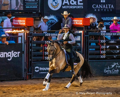 Cossaco | Breyer Model Horse | 1885