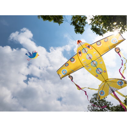 Giant Maxi Plane Kite