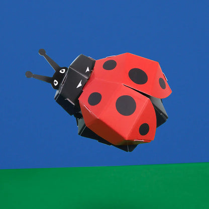 Create-Your-Own Ladybug