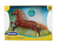 Chestnut Mustang |  B-FS-10609