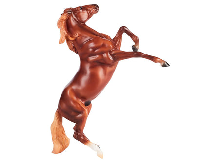 Chestnut Mustang |  B-FS-10609