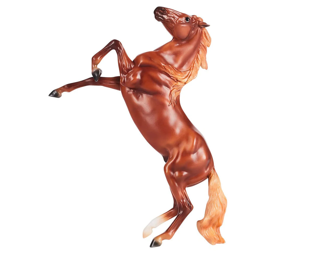 Chestnut Mustang |  B-FS-10609