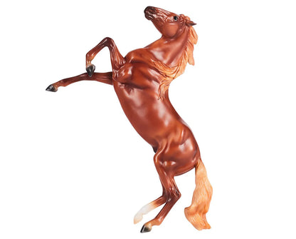 Chestnut Mustang |  B-FS-10609