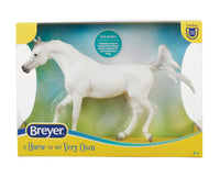 Grey Arabian | B-FS-10612