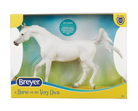 Grey Arabian | B-FS-10612