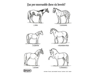 "H" is for Horse Coloring Activity Book | Breyer Model Horse | 4120