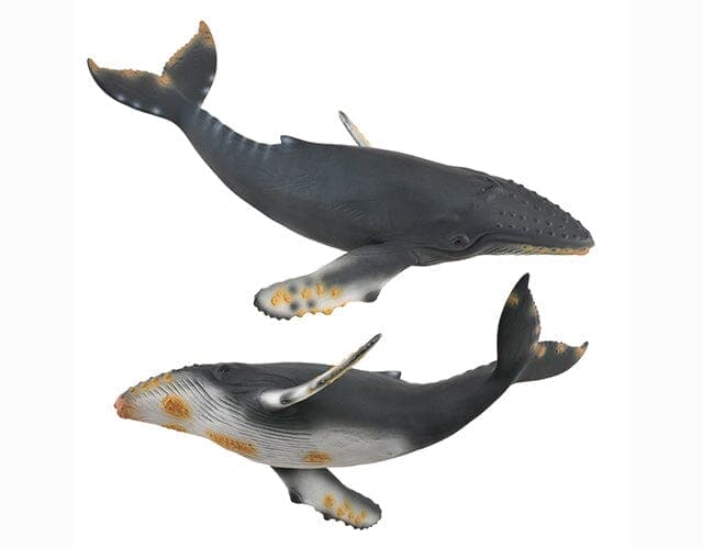 Humpback Whale | Collecta by Breyer | 88347