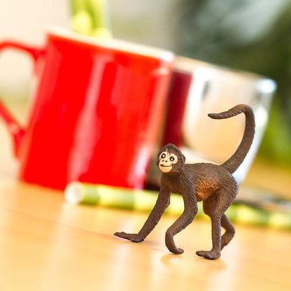 Spider Monkey | Safari