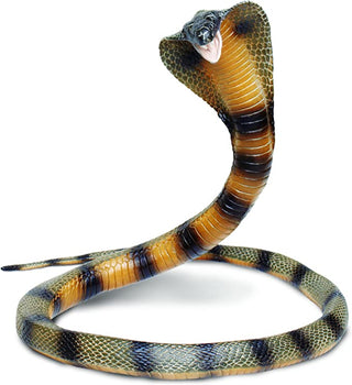 Safari Cobra