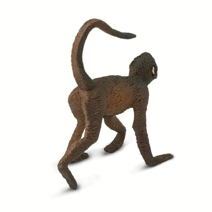 Spider Monkey | Safari