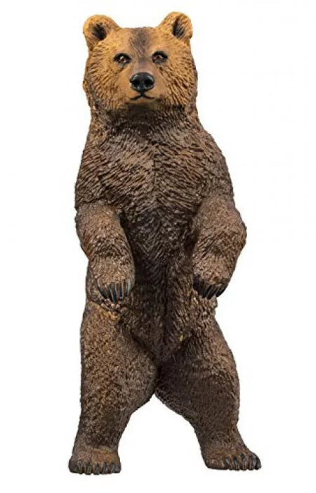 Safari Grizzly Bear