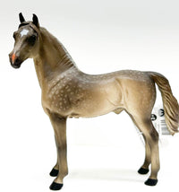 Morgan Stallion - Silver Grulla| Breyer Collecta | 88979