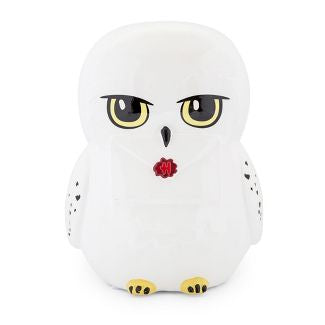 Harry Potter Hedwig With Letter Bank
