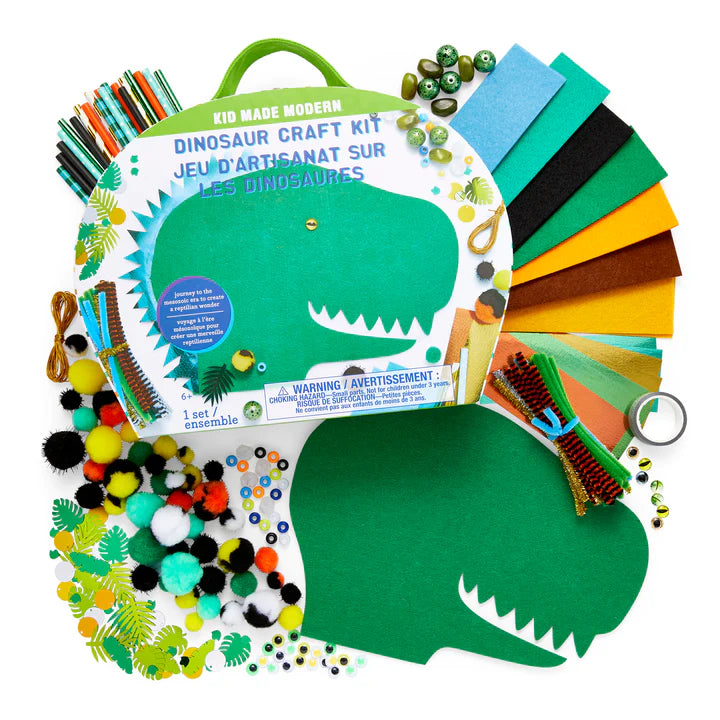 Dinosaur Craft Kit