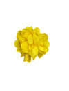Flower Claw Clip