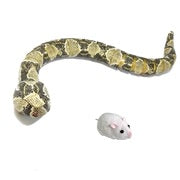 Anaconda and Mouse