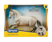 Jaguel Hilton | Criollo Stallion | B-TR-10668