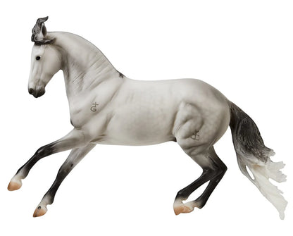 Jaguel Hilton | Criollo Stallion | B-TR-10668