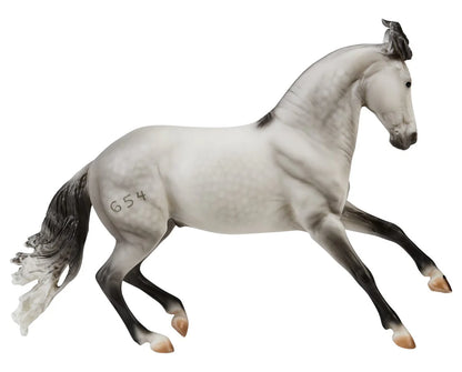 Jaguel Hilton | Criollo Stallion | B-TR-10668